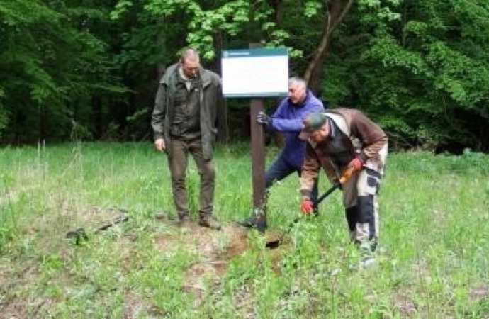 Las w pobliżu Dajtek zostanie wycięty