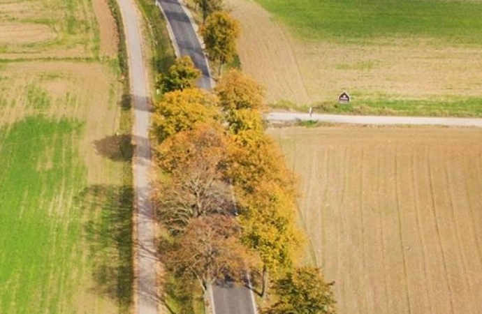 Coraz mniej czasu na odnowienie certyfikatów Miejsc Przyjaznych Rowerzystom.