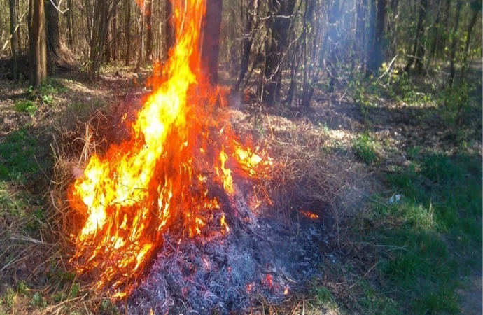 Wiosenne porządki – bez ognisk!