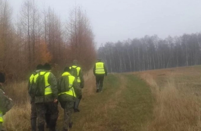 Żołnierze i leśnicy szukają martwych dzików